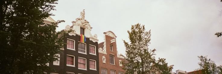 bappao banner