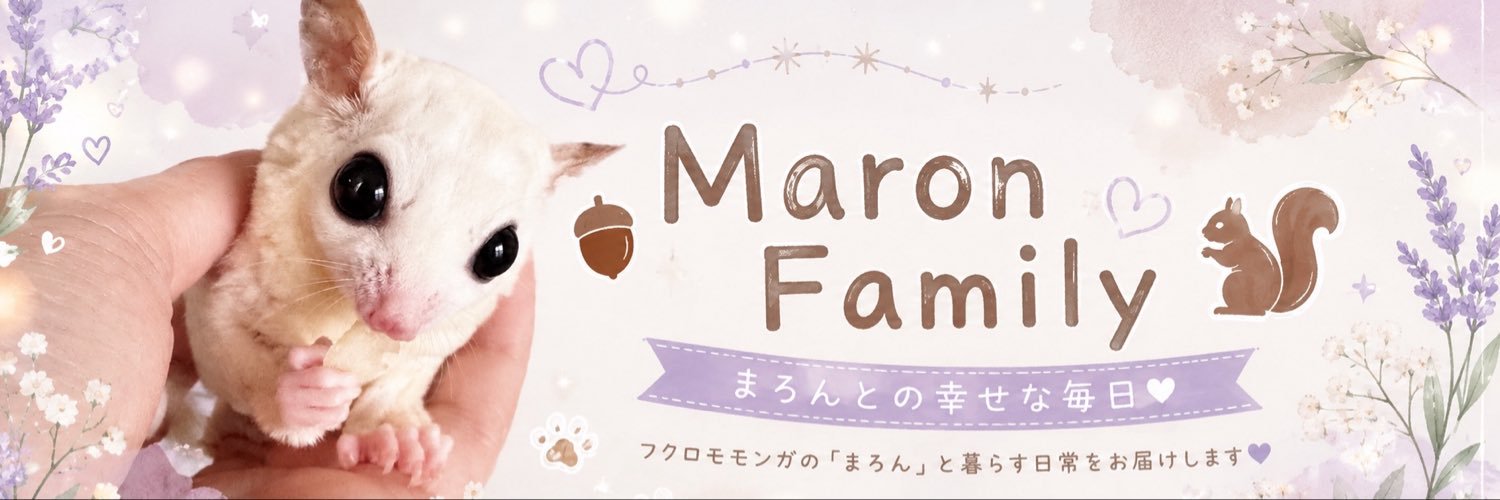 MARONinnn's profile banner image