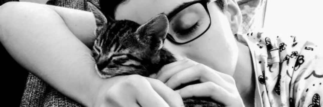 judy_sn26's profile banner image