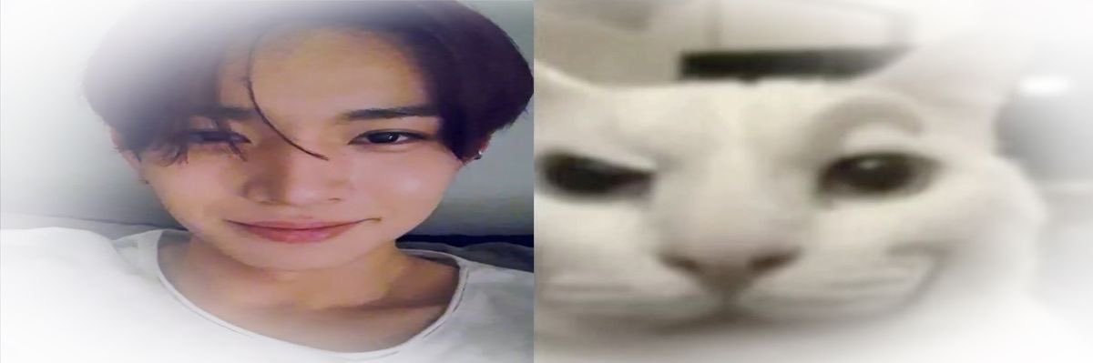 m • enhypen in 7 banner