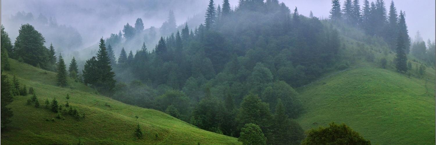 Озеро Вита Карпаты