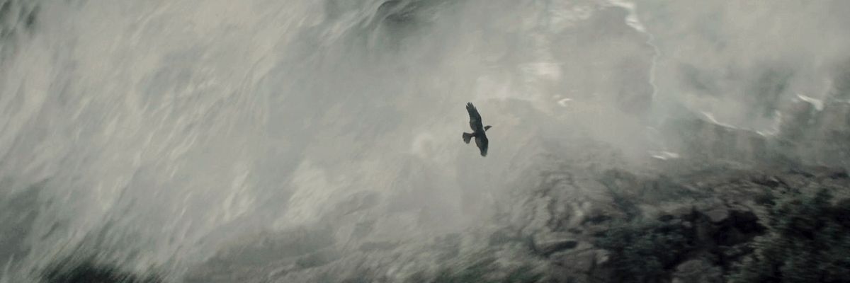 𝑪. banner