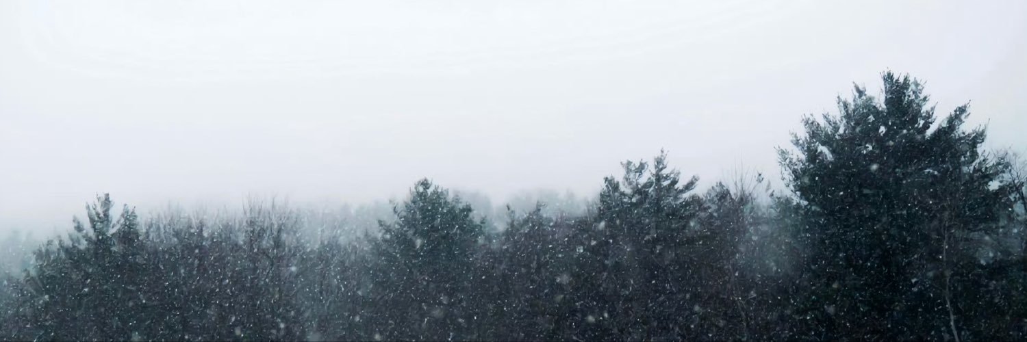 Yancnho's profile banner image