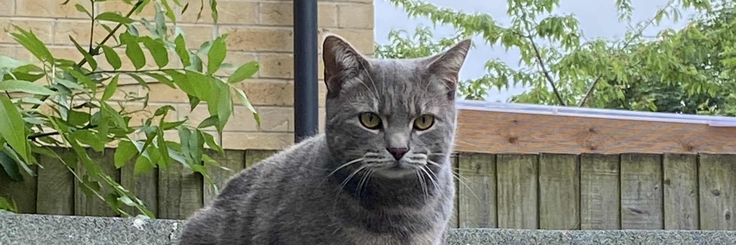 Mel Rady 🏃🏻🌤️☀️🌻🐞🐝🪲🐜🌱🌿🌼🌺🦕🦖🐿️🦔 banner