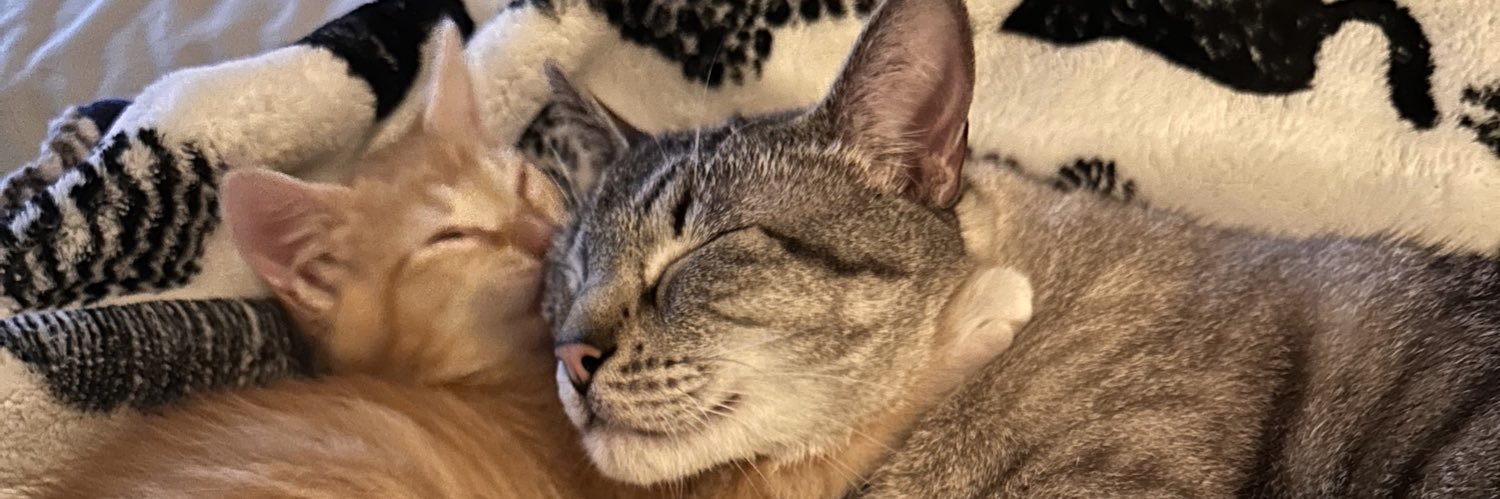 🍊Gulf of America Girl🍊 banner