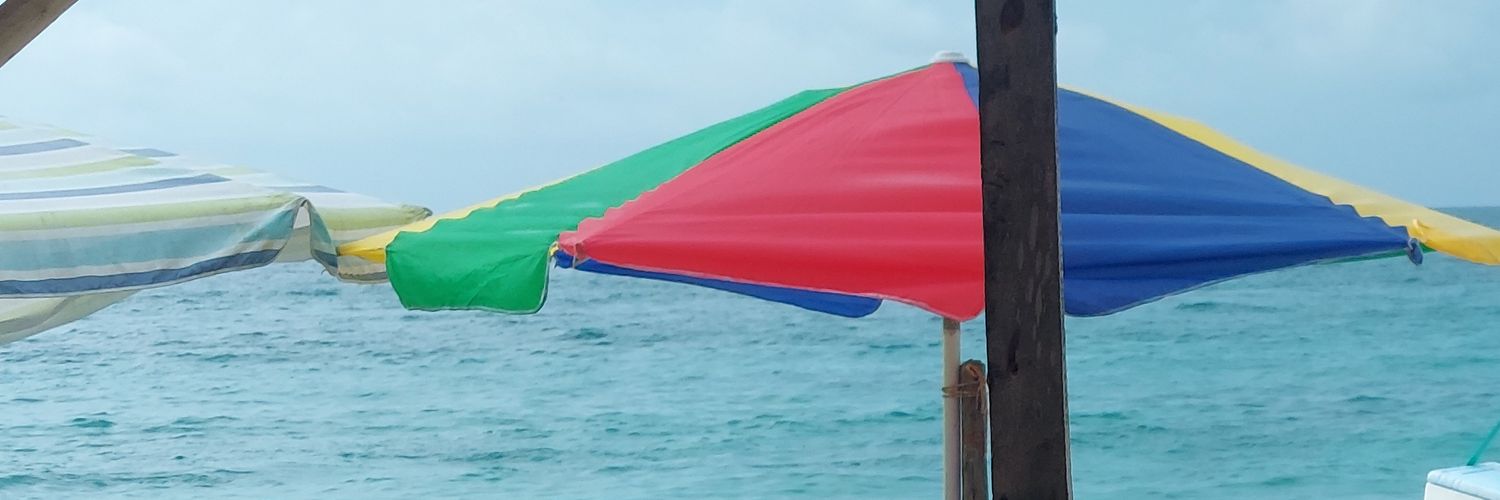 ChariCenturion's profile banner image