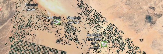 Vesânico 🇧🇷🇹🇹 banner