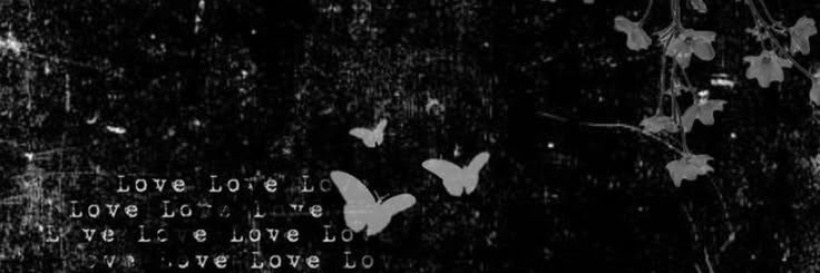 dirakiii ˚. ᵎᵎ banner