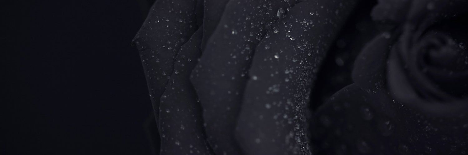 秘密ちゃん banner