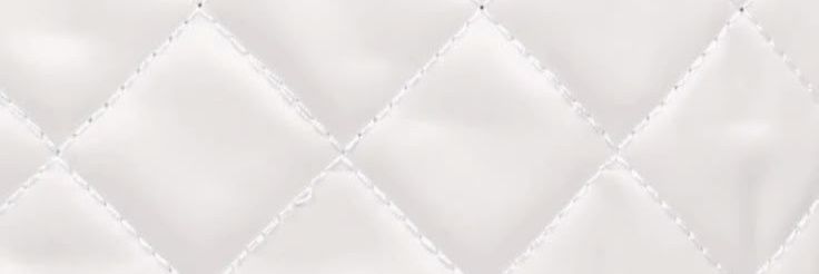 🦢 banner