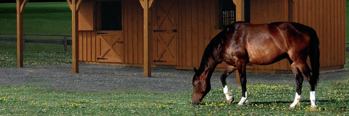 Hfd Ben banner