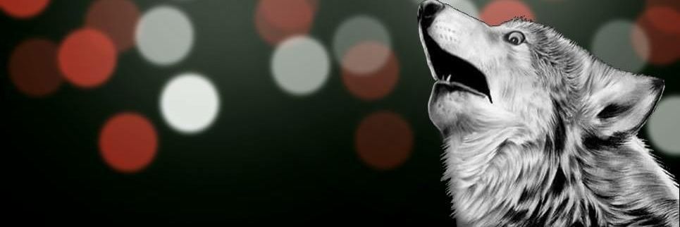 D_Daniele's profile banner image
