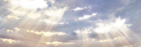 vientostusk's profile banner image