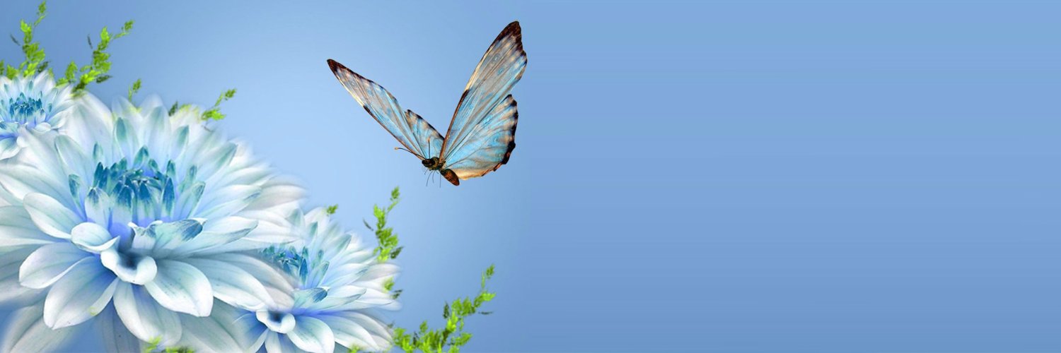 Rich Lee| ETHGas ⛽ banner