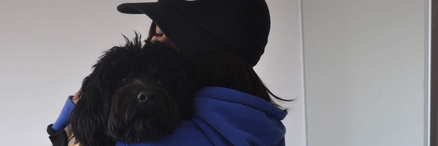 rimoyaok's profile banner image