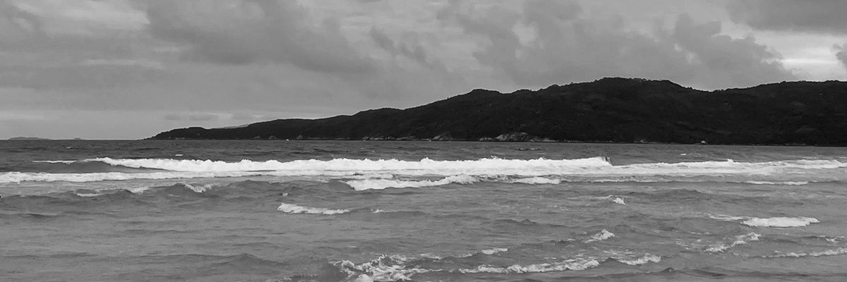 aldi_sch's profile banner image