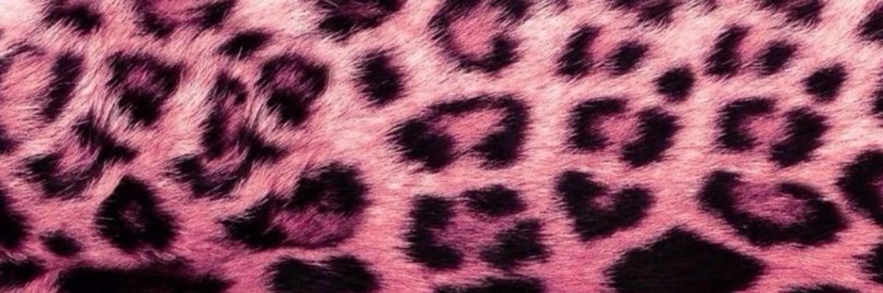 Sophia 💎 banner