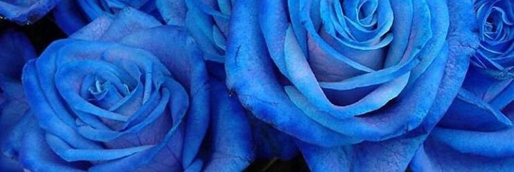 Why_You_Are_I's profile banner image