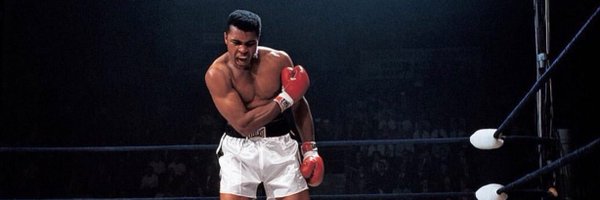 Larion Profile Banner