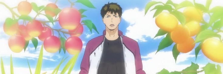 Acervo Ushiwaka banner