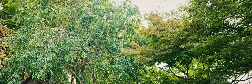 Jiugie banner