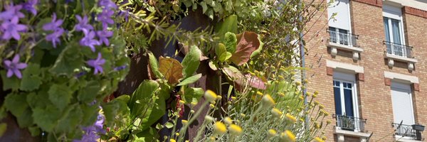 severinemaroun Profile Banner