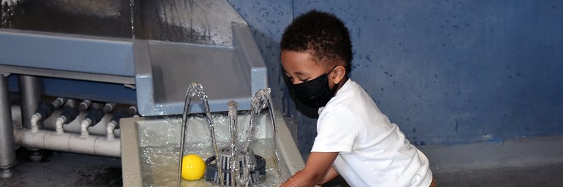 Purple Museum banner