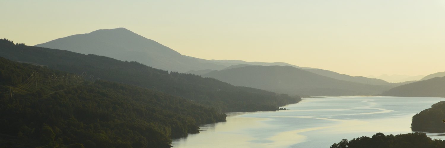 TerrorTowers's profile banner image
