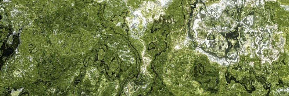 D10000L's profile banner image