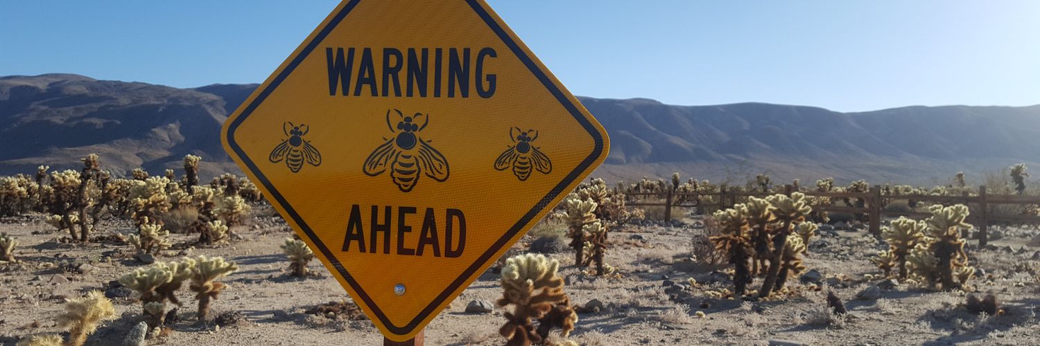 Maia The 🐝 banner