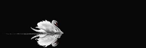 JS banner