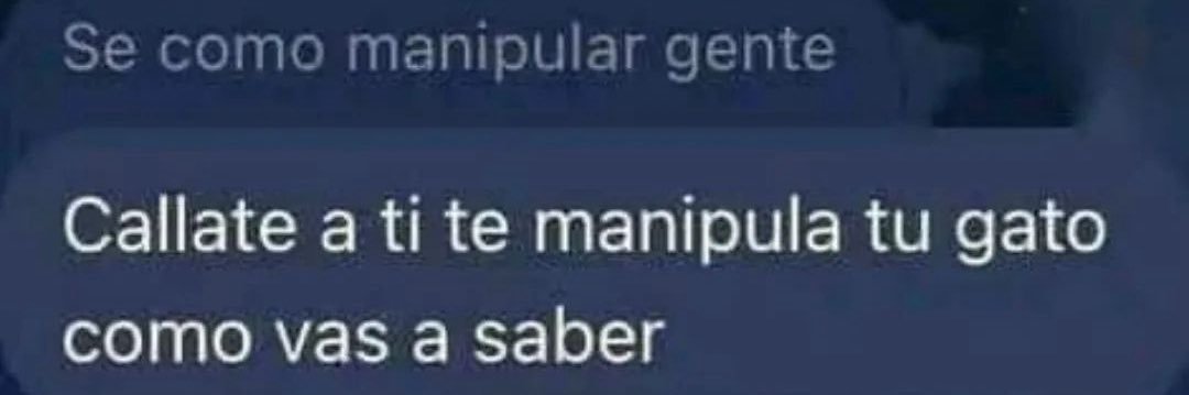 jenni🫪 | BUSCO MUTIS banner