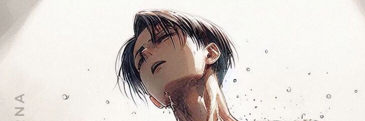 Levi banner