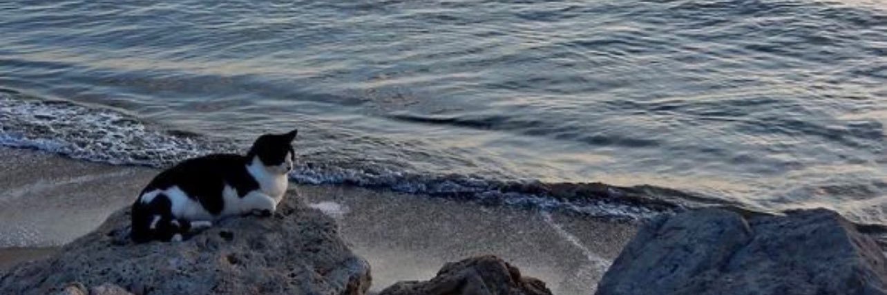 Aadhira. banner