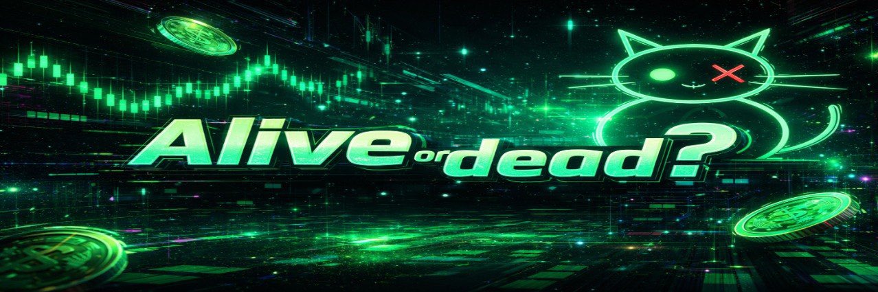 Erwin’s Box banner