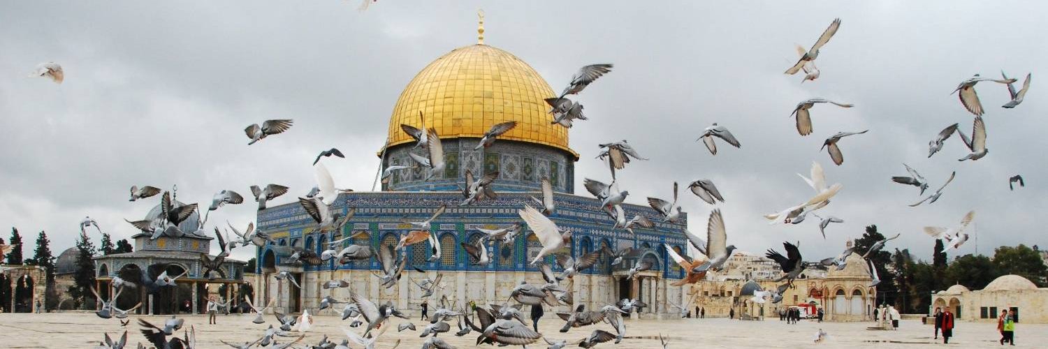 arbaeentvEn's profile banner image