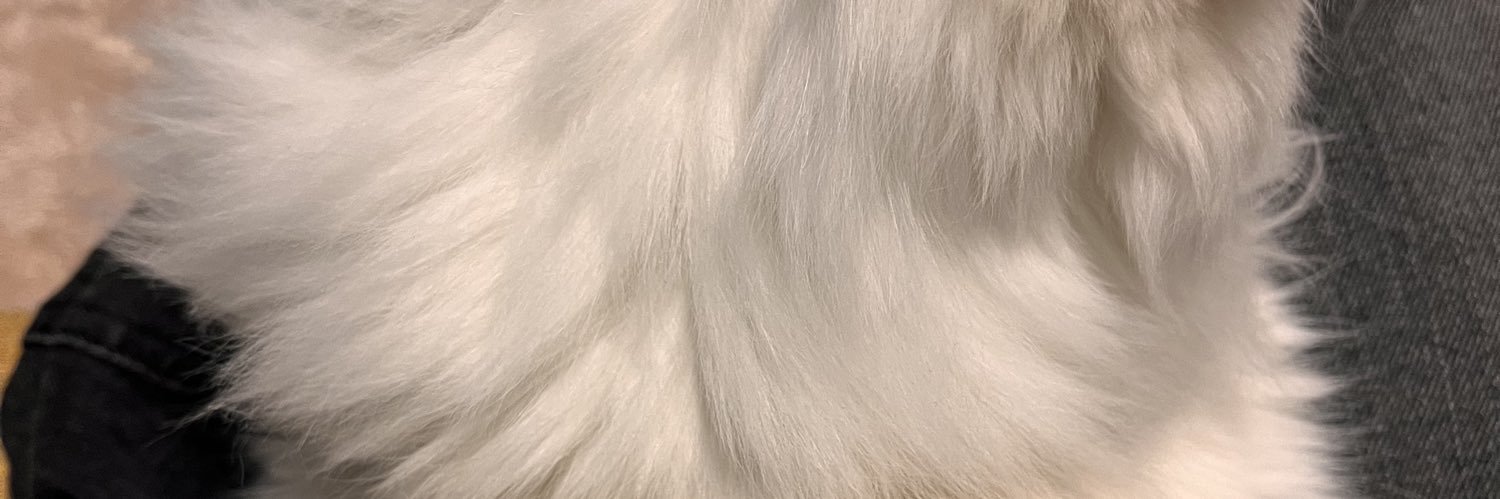 myya banner