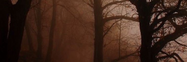 Ａｌｅｘ .ᐟ banner