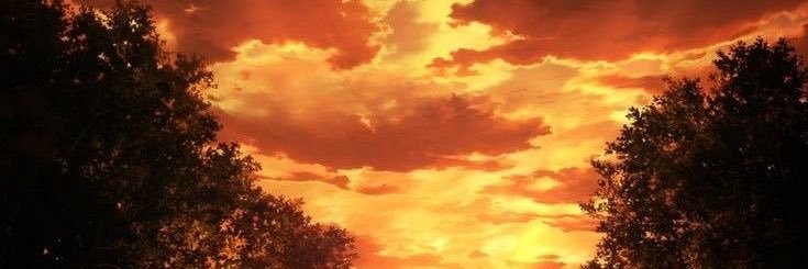 𝙅 𝙖 𝙮 .ᐟ banner