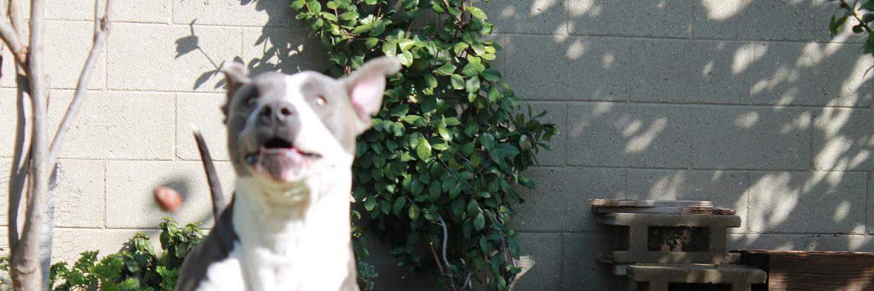 kries's profile banner image