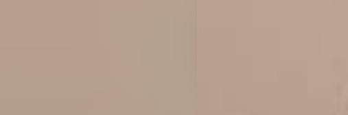 oca 🍁 banner