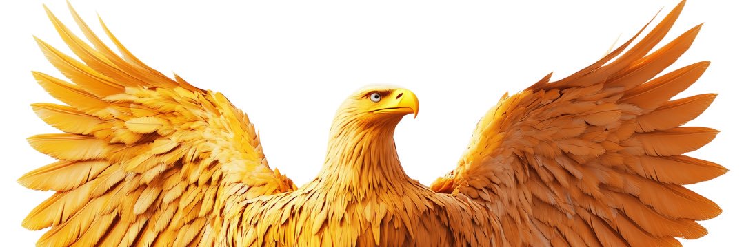 New Age Liberal 🇺🇸🇺🇦 banner