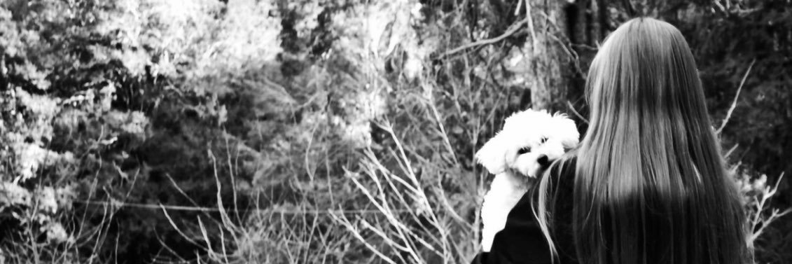 SofiSettepassi's profile banner image