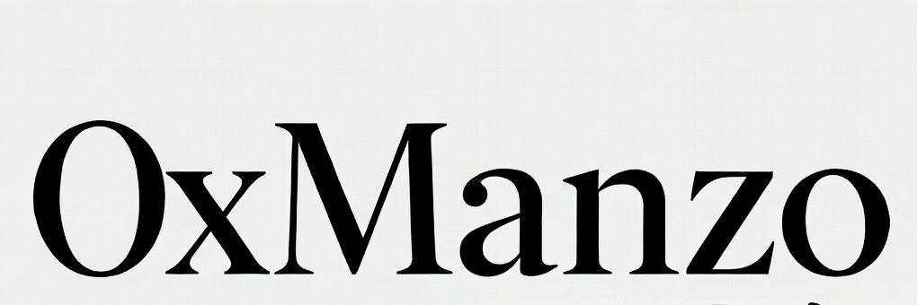 0xManzo banner