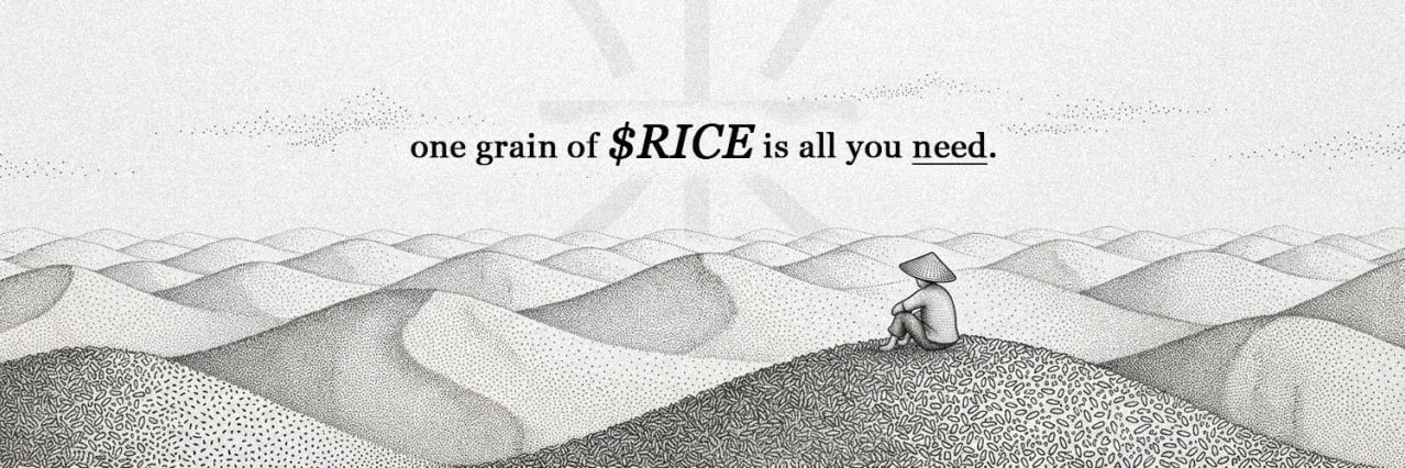 One grain of rice banner