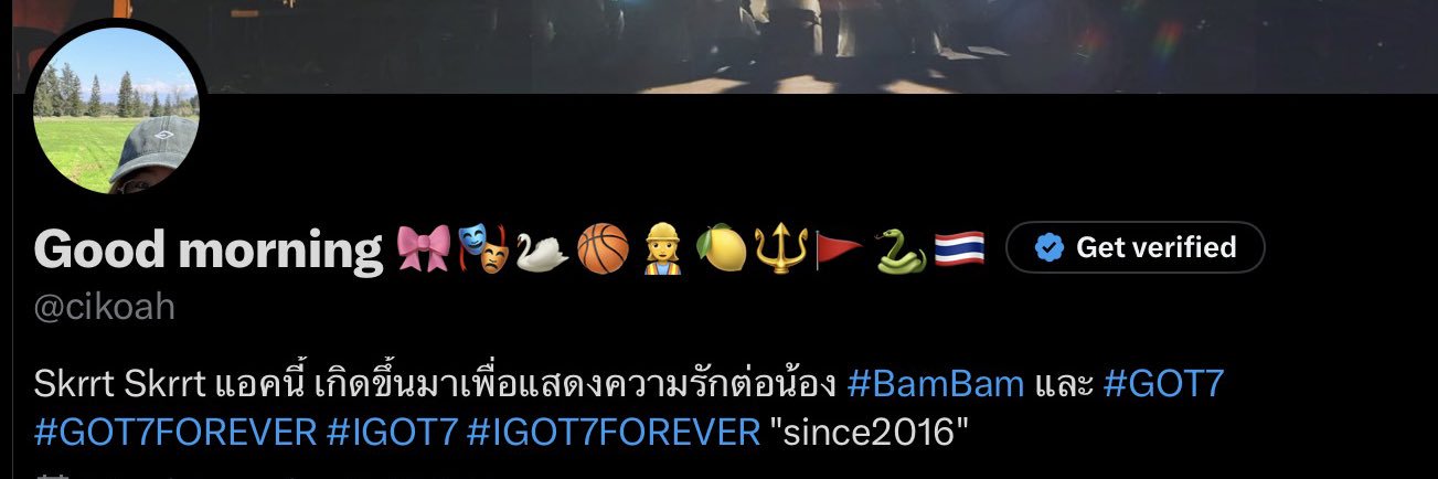 mycikoahlostbyx banner