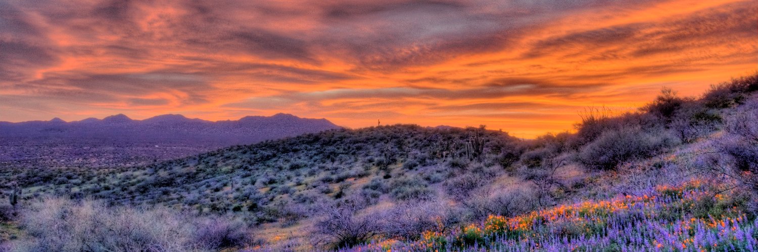 Kevin Peterson banner