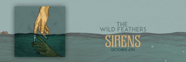 TheWildFeathers Profile Banner
