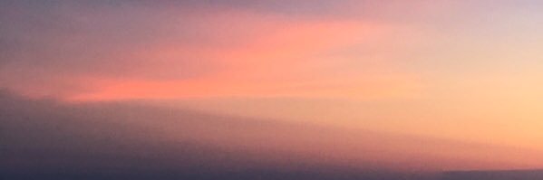 JoyyCobb's profile banner image