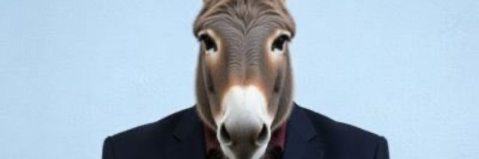 b_33 banner